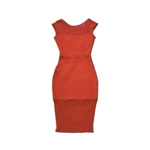 Donna Mizani Contrast Mesh Bodycon Midi Dress